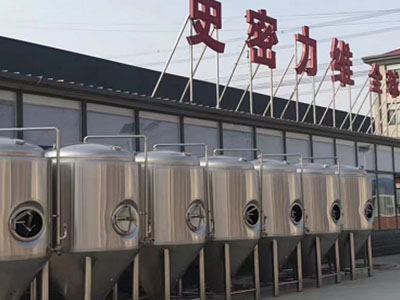 隆尧精酿啤酒设备厂—如何判断精酿啤酒设备的密封件需要更换？